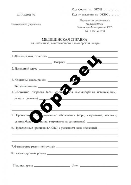 Справка в пионерский лагерь в Новосибирске